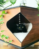 CAT-BOX-TABLE